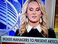 Fox News see through